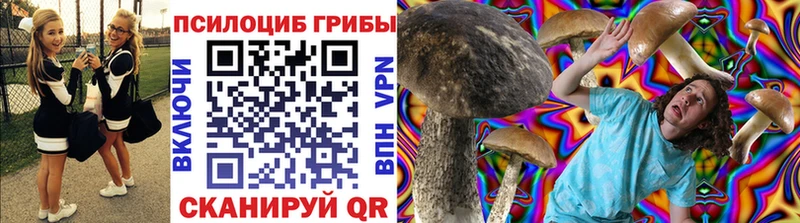 Галлюциногенные грибы Cubensis  Нижний Новгород 