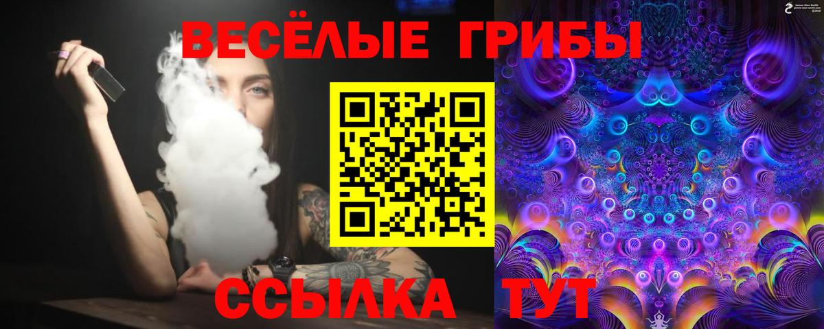Псилоцибиновые грибы Magic Shrooms Нижний Новгород