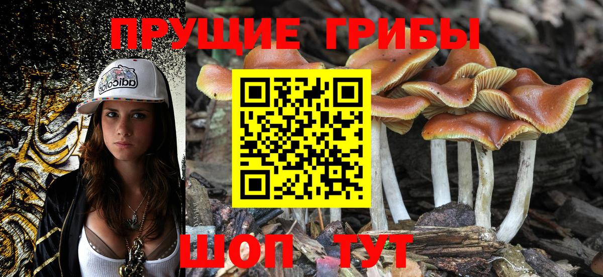 закладка  Вход с VPN  Нижний Новгород  Галлюциногенные грибы мицелий  Псилоцибиновые грибы GOLDEN TEACHER 